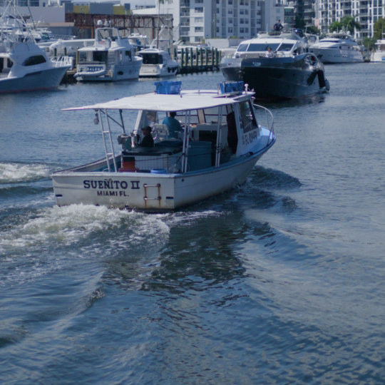 100% crop of the Nikon ZR R3D original, Miami canal.